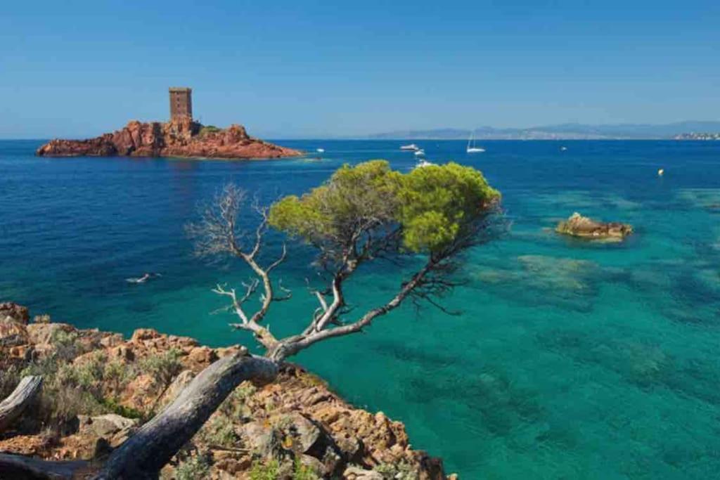Vacances Mobilhome à Fréjus sur terrain privé Exterior foto
